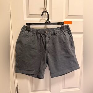 Mens Chubbies 7” Shorts